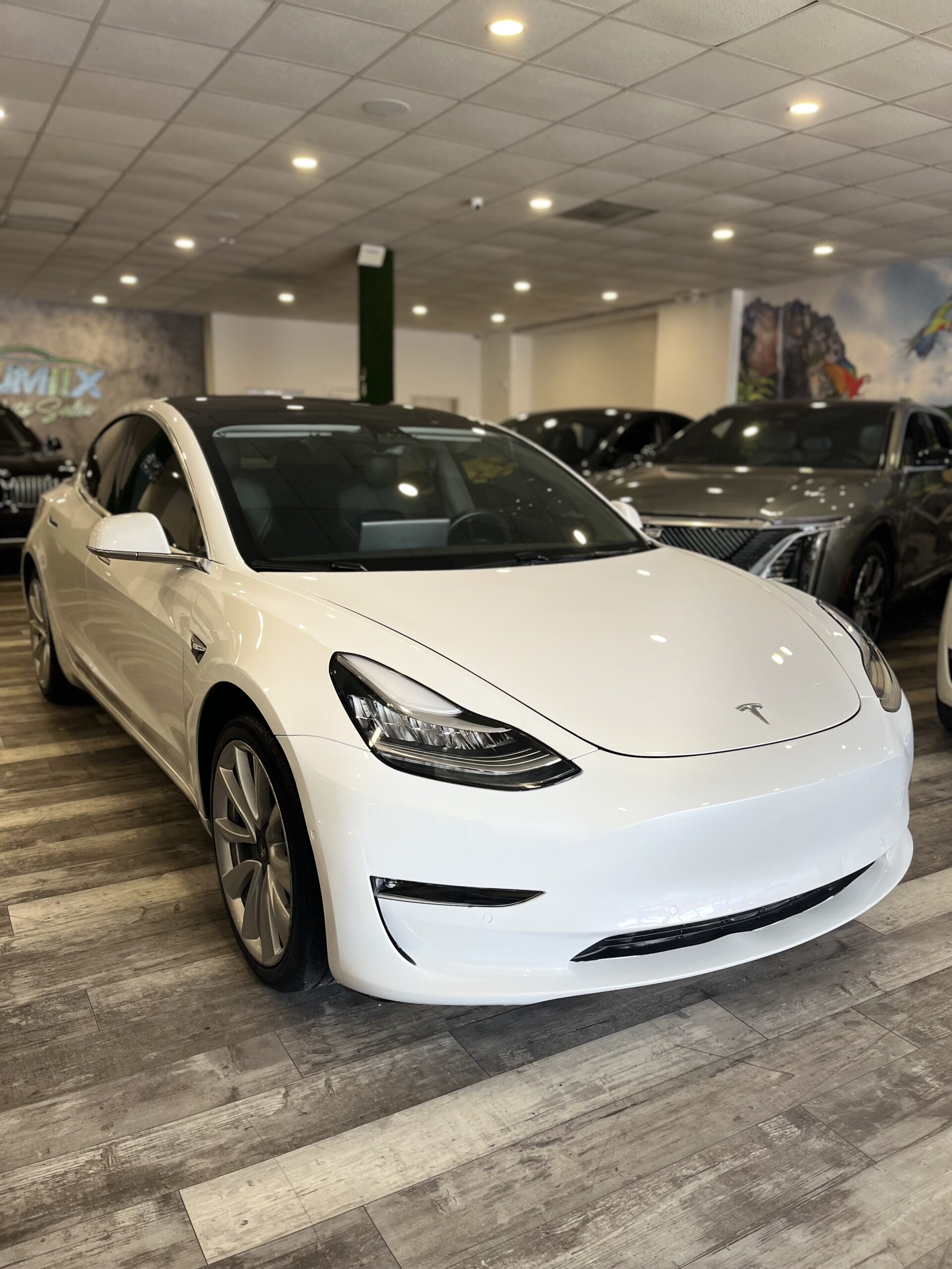 tesla model 3 2020 5YJ3E1EA8LF802470 image tesla model 3 2020 5YJ3E1EA8LF802470 image